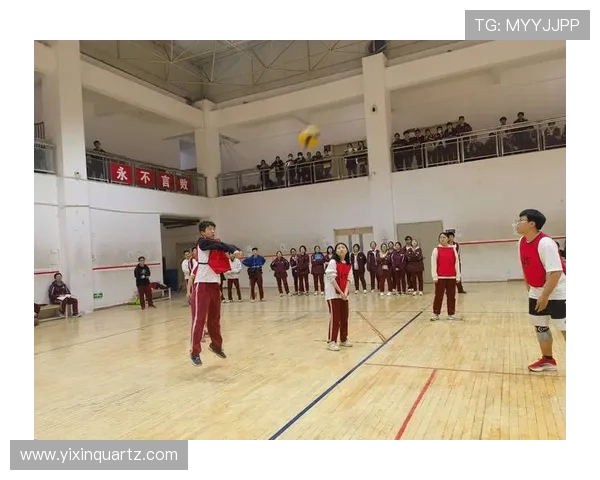 西安排球队灵活性展现杯赛表现的深度分析与点评 西安排球队灵活性展现杯赛表现的深度分析与点评