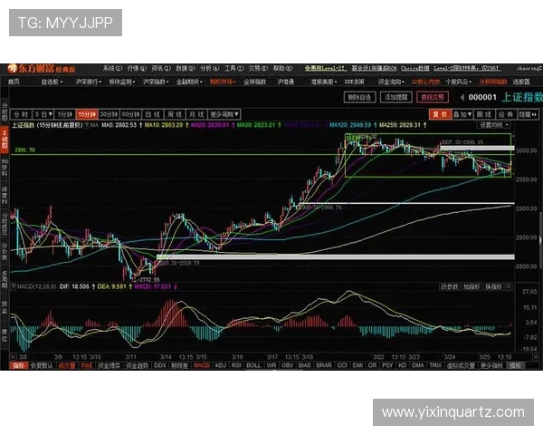南京羽毛球队与广州羽毛球队赛后复盘分析比赛节奏与战术对比